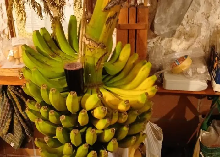 El Jardin De Valle De Guimar