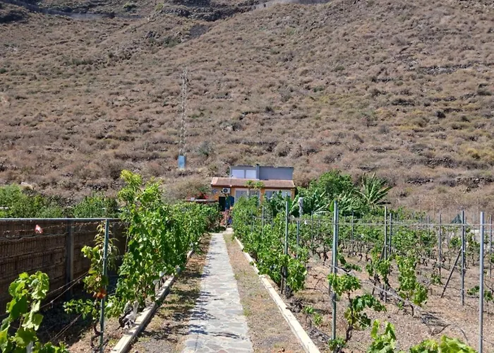 El Jardin De Valle De * Guimar