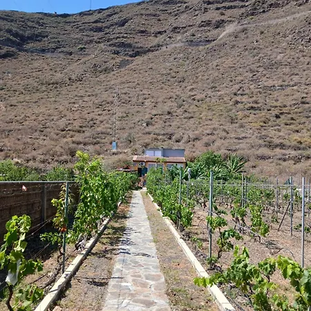 El Jardin De Valle De * Güímar