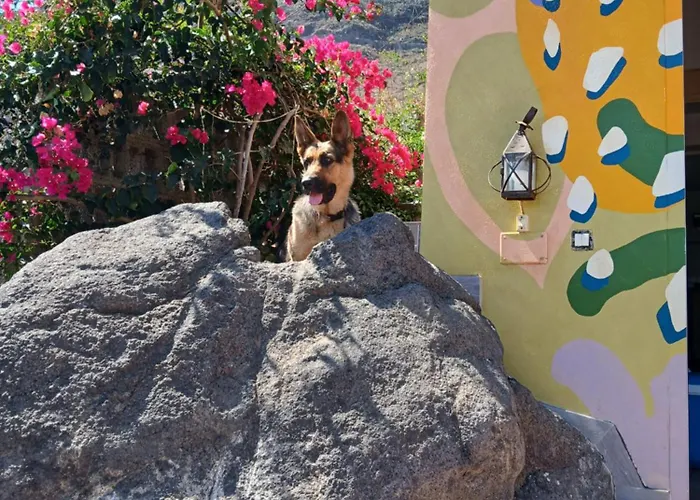 El Jardin De Valle De *