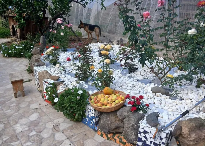 Lägenhet El Jardin De Valle De *