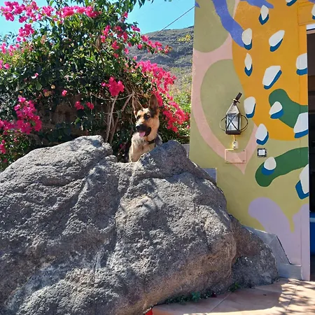 El Jardin De Valle De *