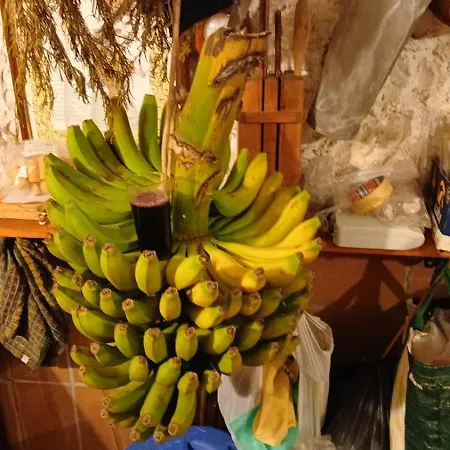 El Jardin De Valle De Güimar